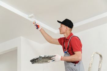 Ceiling Painting in Sterling Heights, Michigan by McLittles Painting Services